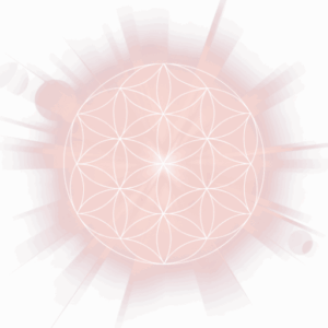 The Melchizedek Method Level 5